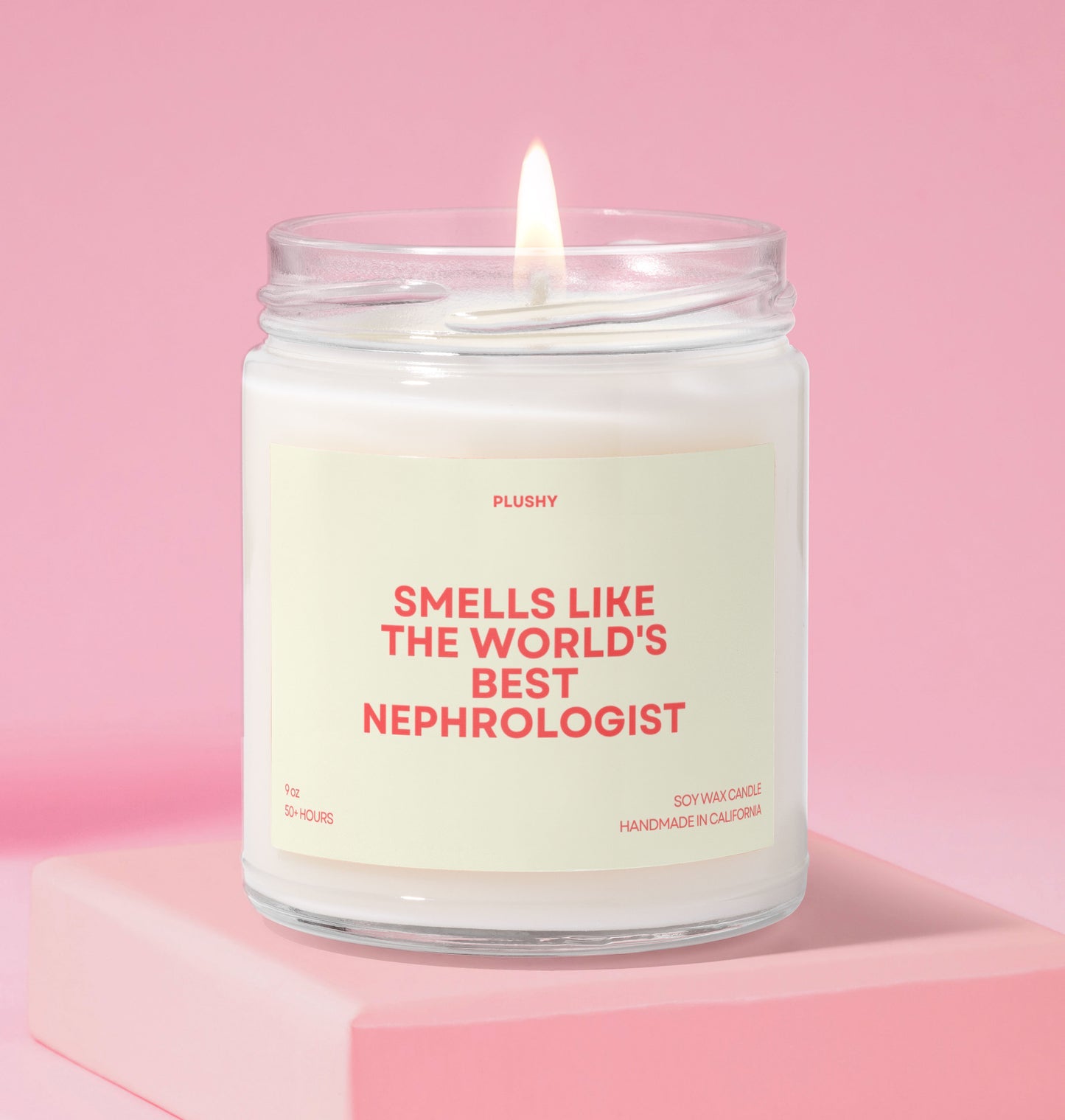 Smells Like the World's Best Nephrologist Professions Candle